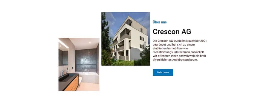 Screenshot des Projekts